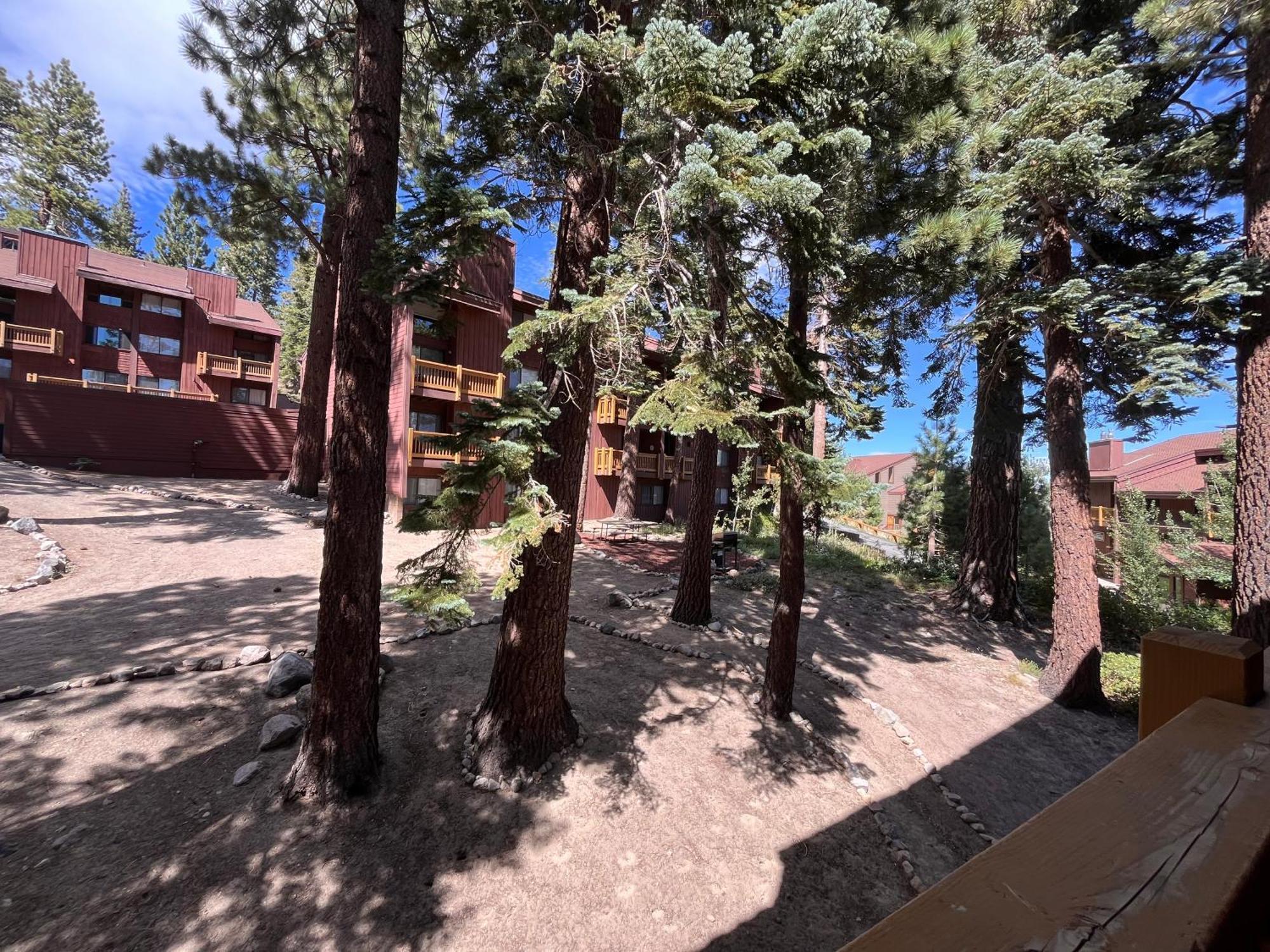 Tastefully Remodeled Condo At Mammoth Ski & Racquet Club, Hot Tub, Garage, 10 Min Walk To Ski Lifts Mammoth Lakes Exterior foto